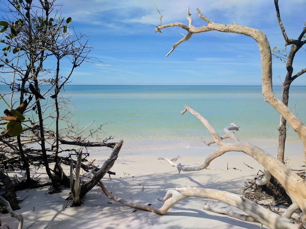 Caladesi Island State Park