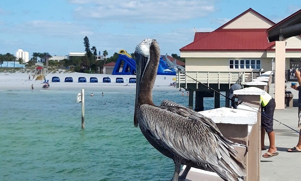 Clearwater Beach-Clearwater
