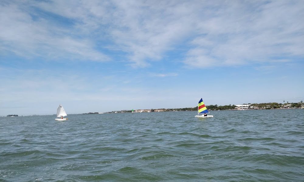 Dunedin Youth Sailing Association