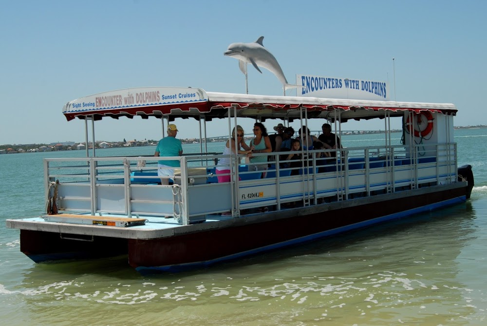 Encounters With Dolphins