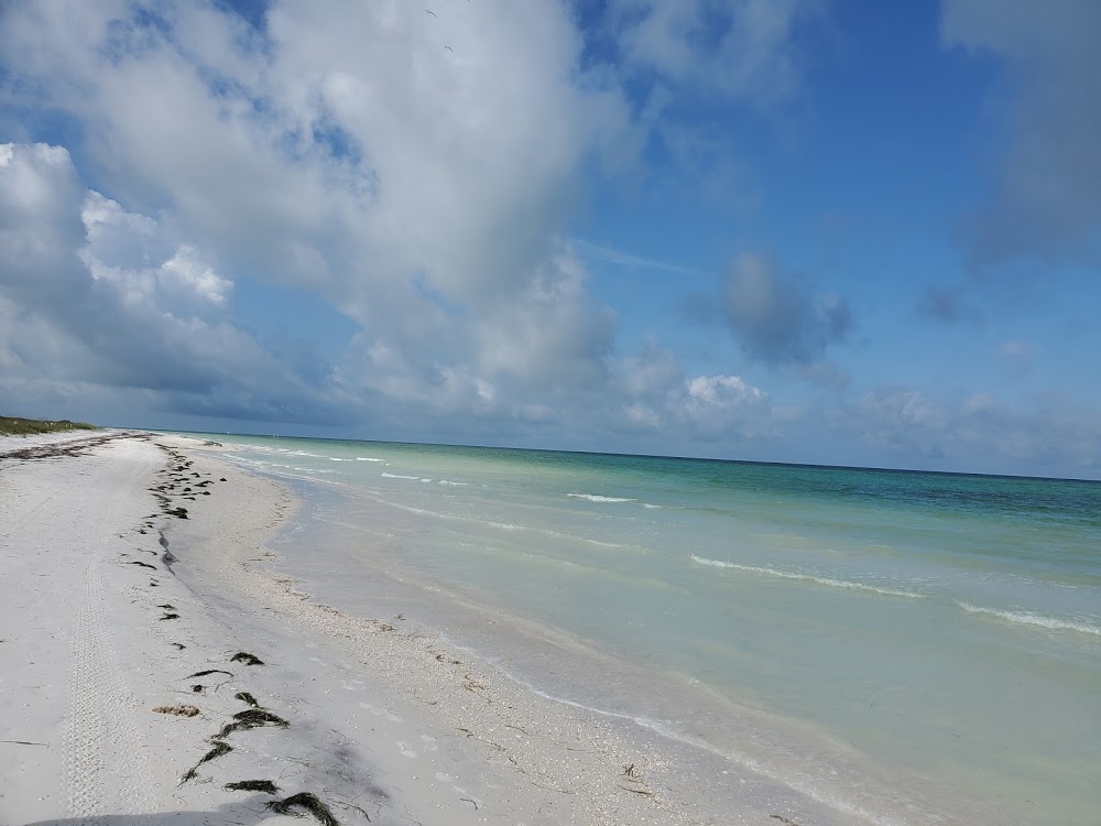 Honeymoon Island Beach